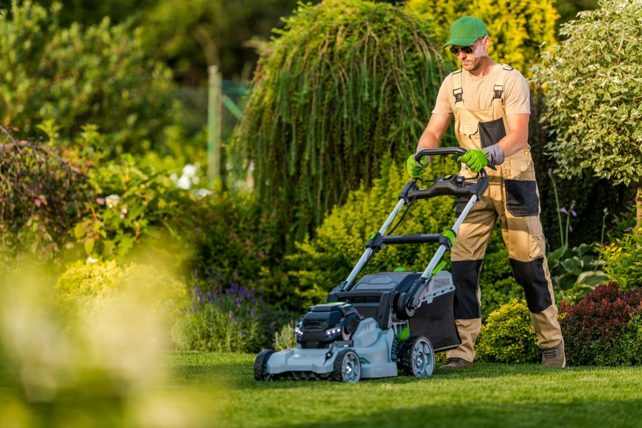 mowing-the-lawn